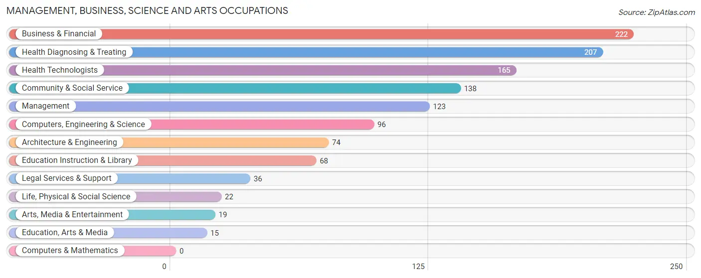 Management, Business, Science and Arts Occupations in Ceiba Municipio