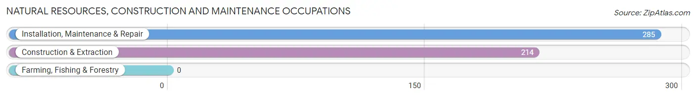 Natural Resources, Construction and Maintenance Occupations in Ceiba Municipio