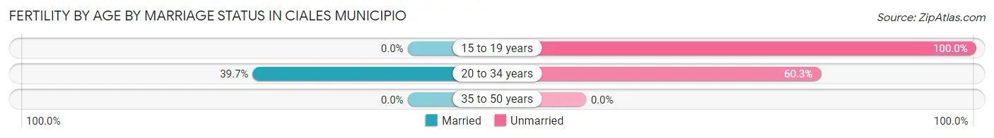 Female Fertility by Age by Marriage Status in Ciales Municipio