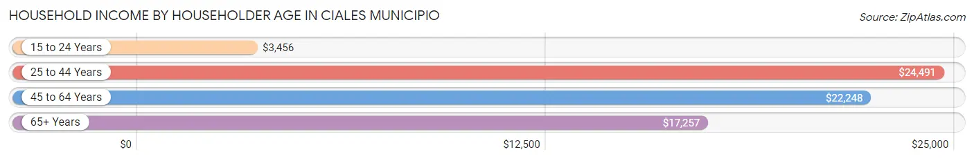 Household Income by Householder Age in Ciales Municipio