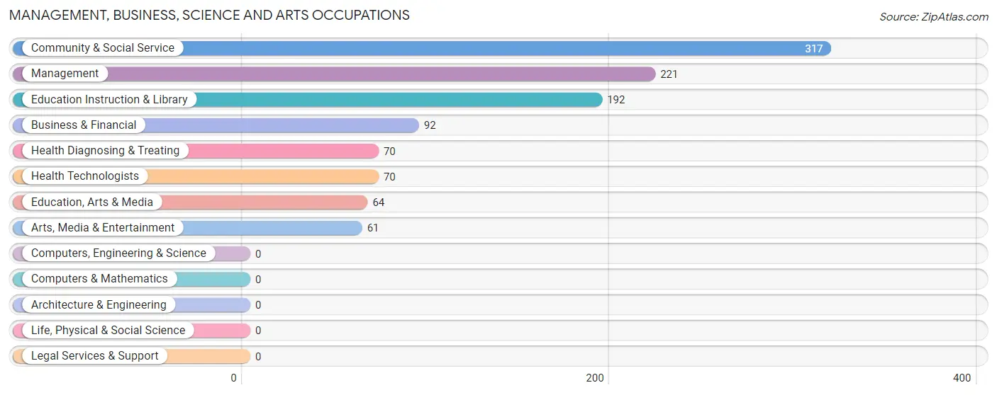 Management, Business, Science and Arts Occupations in Ciales Municipio