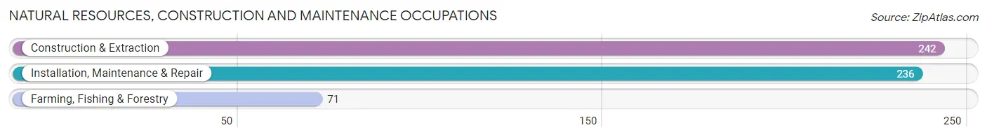 Natural Resources, Construction and Maintenance Occupations in Ciales Municipio