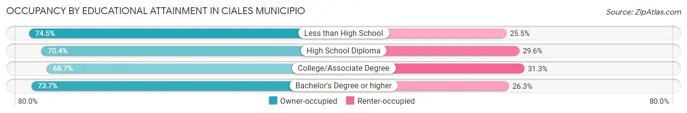 Occupancy by Educational Attainment in Ciales Municipio