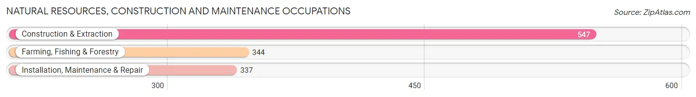 Natural Resources, Construction and Maintenance Occupations in Coamo Municipio