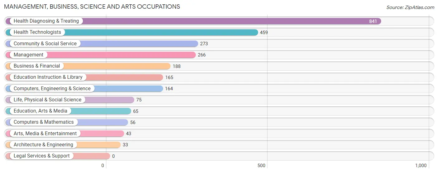 Management, Business, Science and Arts Occupations in Comerio Municipio