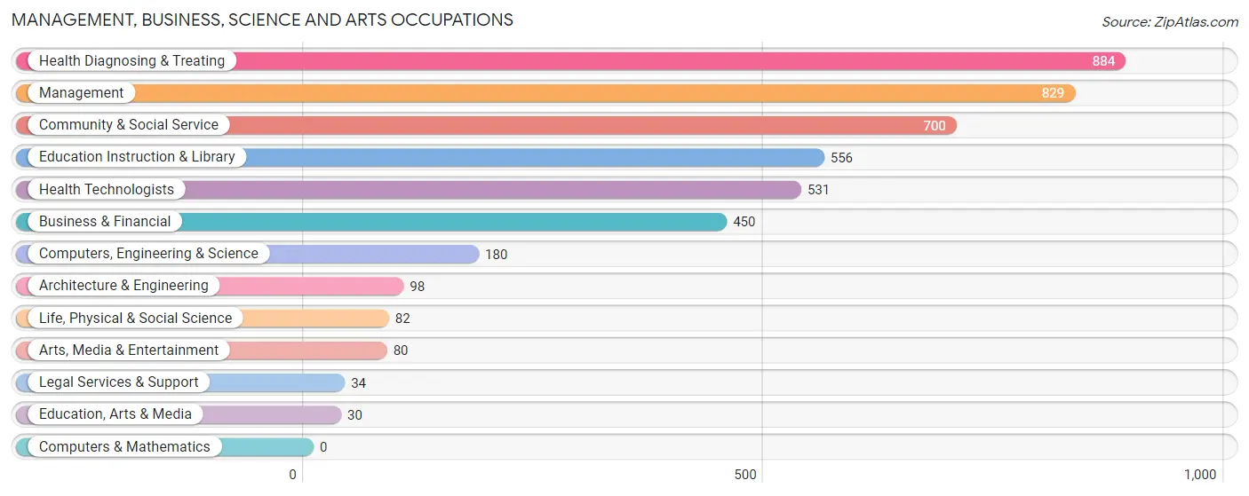 Management, Business, Science and Arts Occupations in Corozal Municipio