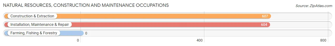 Natural Resources, Construction and Maintenance Occupations in Corozal Municipio