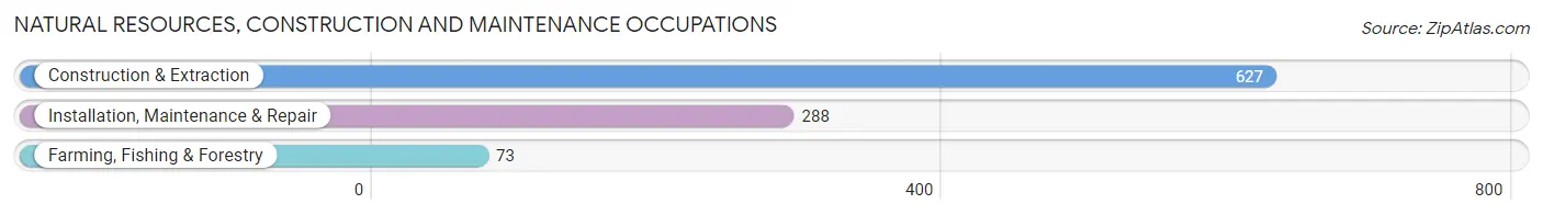 Natural Resources, Construction and Maintenance Occupations in Dorado Municipio