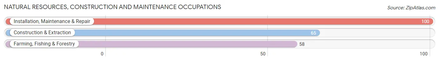 Natural Resources, Construction and Maintenance Occupations in Guanica Municipio