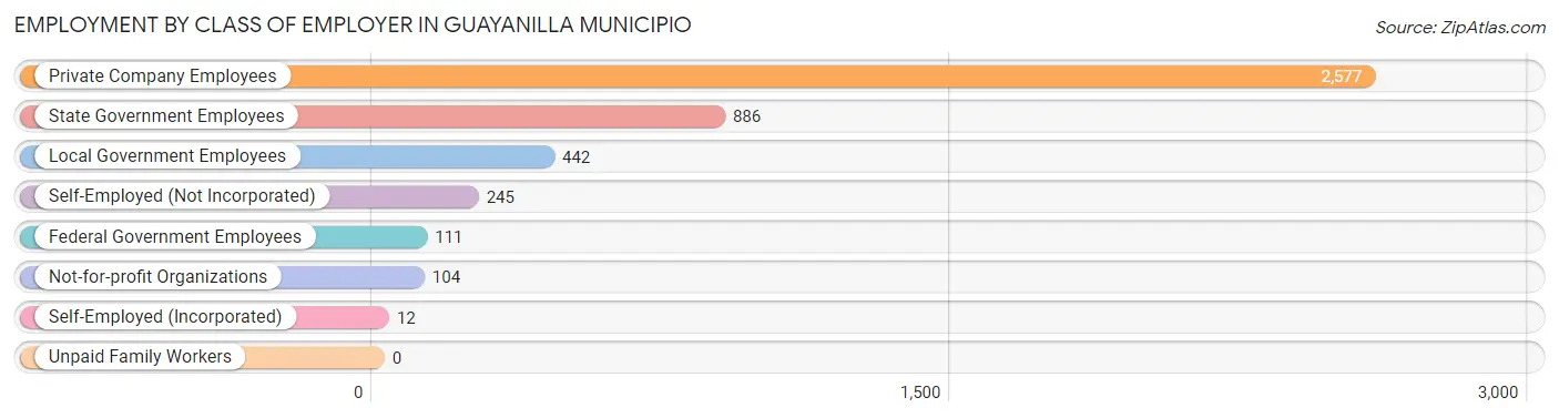 Employment by Class of Employer in Guayanilla Municipio