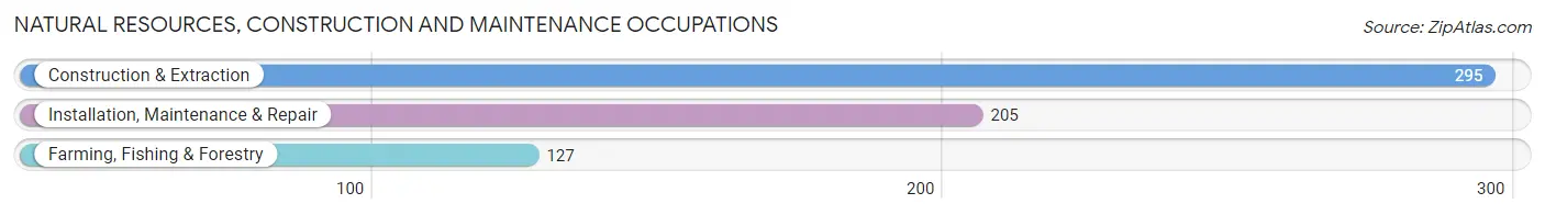 Natural Resources, Construction and Maintenance Occupations in Guayanilla Municipio