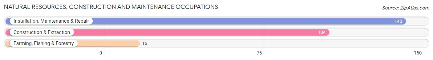 Natural Resources, Construction and Maintenance Occupations in Hormigueros Municipio