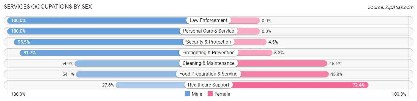 Services Occupations by Sex in Hormigueros Municipio