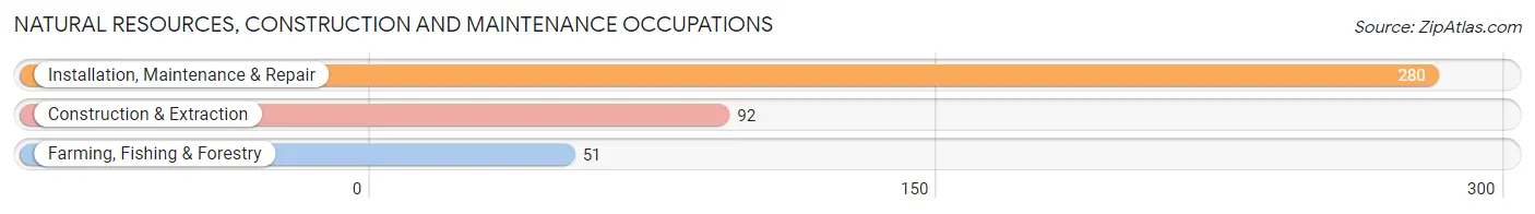 Natural Resources, Construction and Maintenance Occupations in Jayuya Municipio