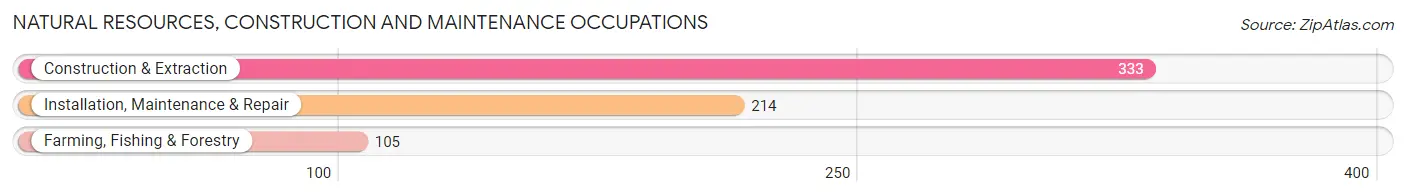 Natural Resources, Construction and Maintenance Occupations in Lajas Municipio