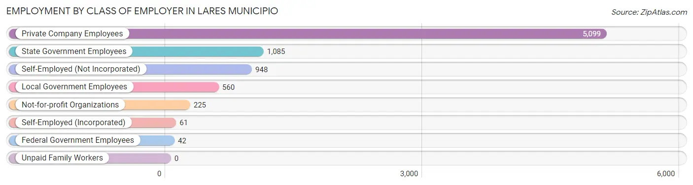 Employment by Class of Employer in Lares Municipio