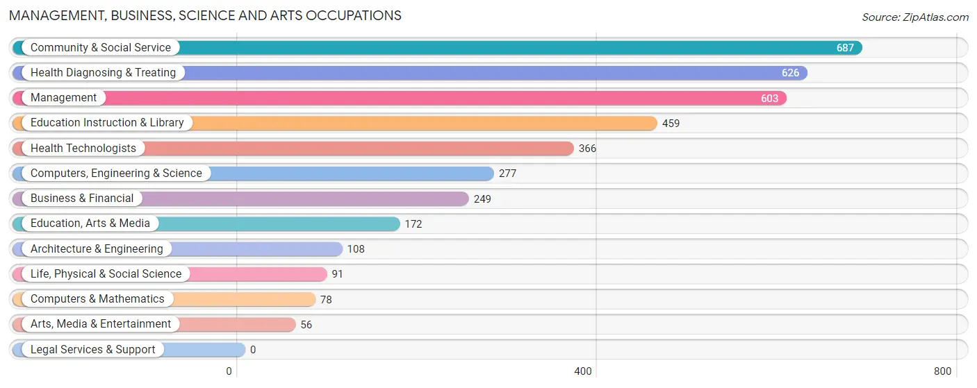 Management, Business, Science and Arts Occupations in Lares Municipio