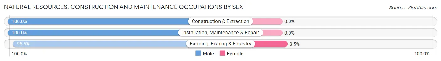 Natural Resources, Construction and Maintenance Occupations by Sex in Lares Municipio