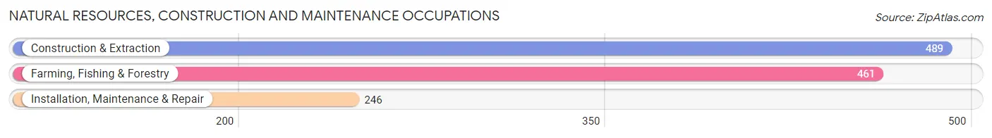 Natural Resources, Construction and Maintenance Occupations in Lares Municipio