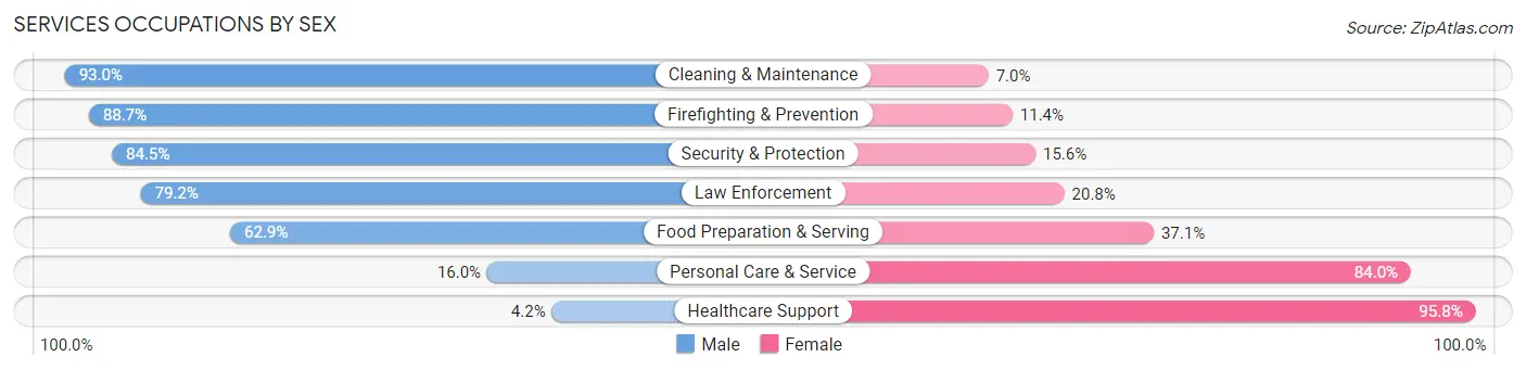 Services Occupations by Sex in Lares Municipio