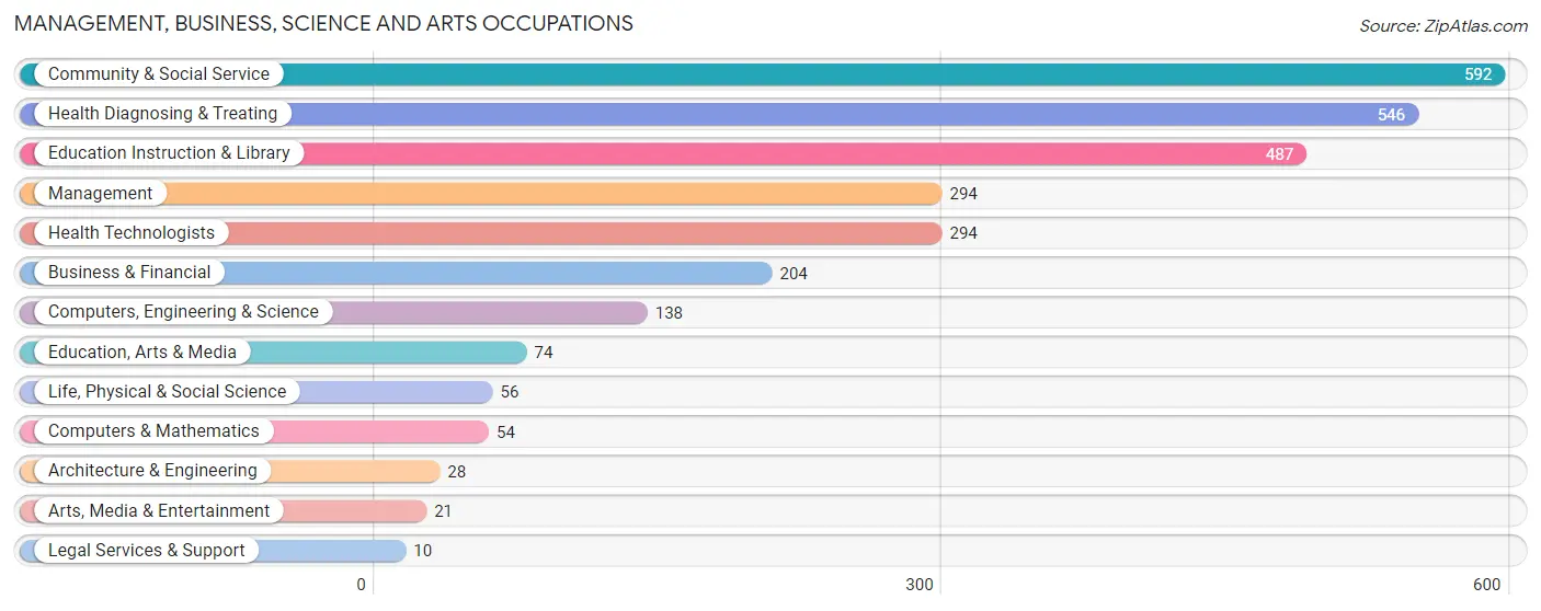 Management, Business, Science and Arts Occupations in Loiza Municipio