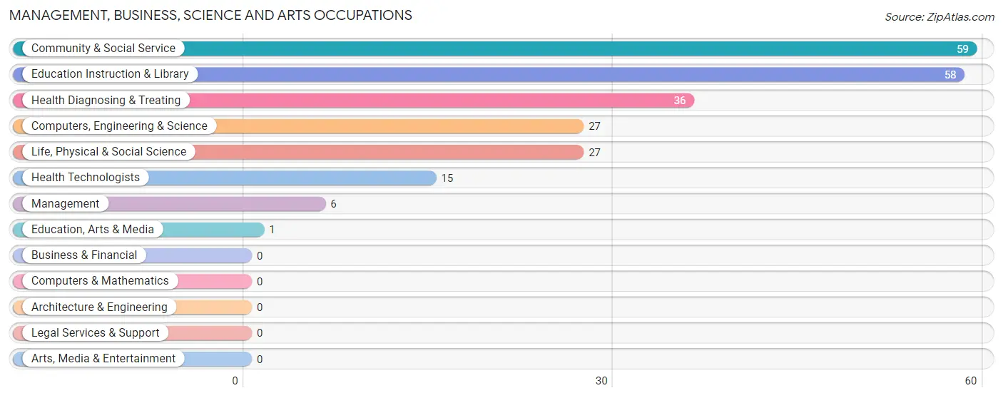 Management, Business, Science and Arts Occupations in Maricao Municipio