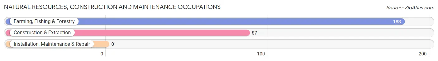 Natural Resources, Construction and Maintenance Occupations in Maricao Municipio