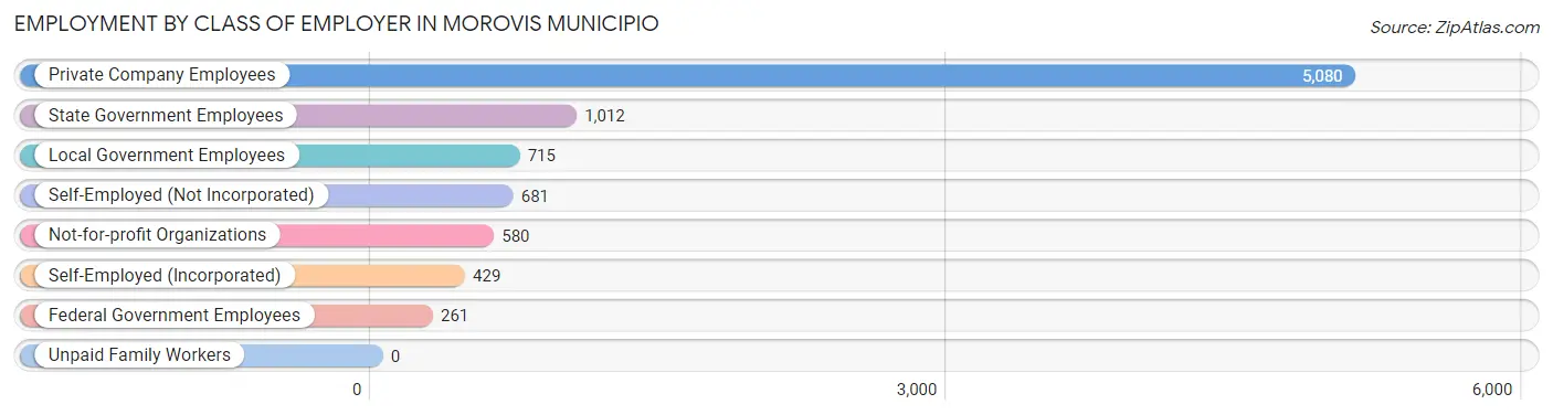 Employment by Class of Employer in Morovis Municipio