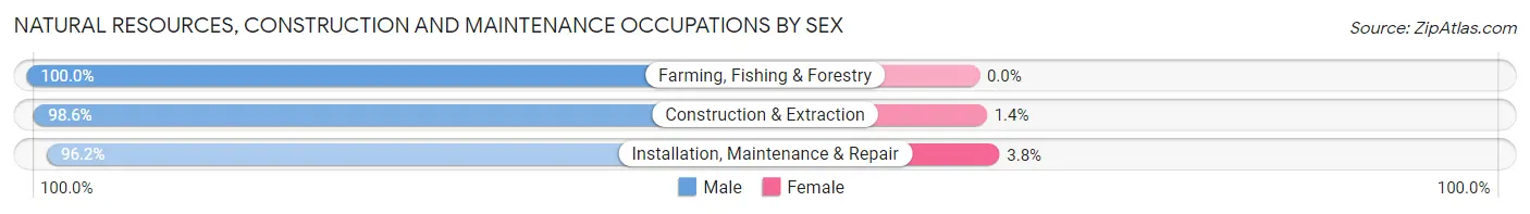 Natural Resources, Construction and Maintenance Occupations by Sex in Morovis Municipio