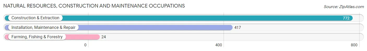 Natural Resources, Construction and Maintenance Occupations in Morovis Municipio