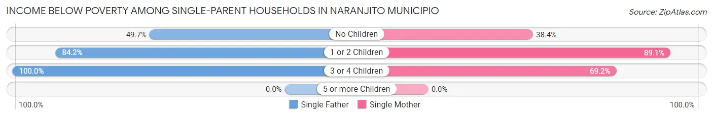 Income Below Poverty Among Single-Parent Households in Naranjito Municipio