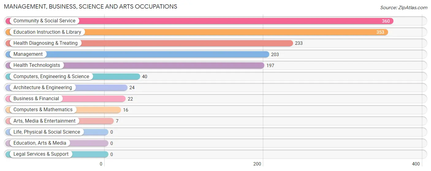 Management, Business, Science and Arts Occupations in Patillas Municipio