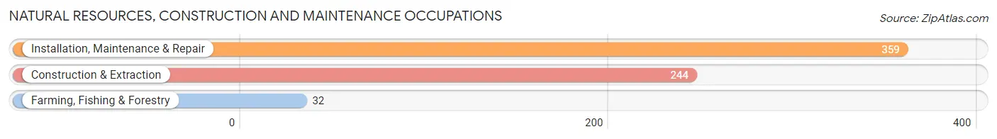 Natural Resources, Construction and Maintenance Occupations in Patillas Municipio