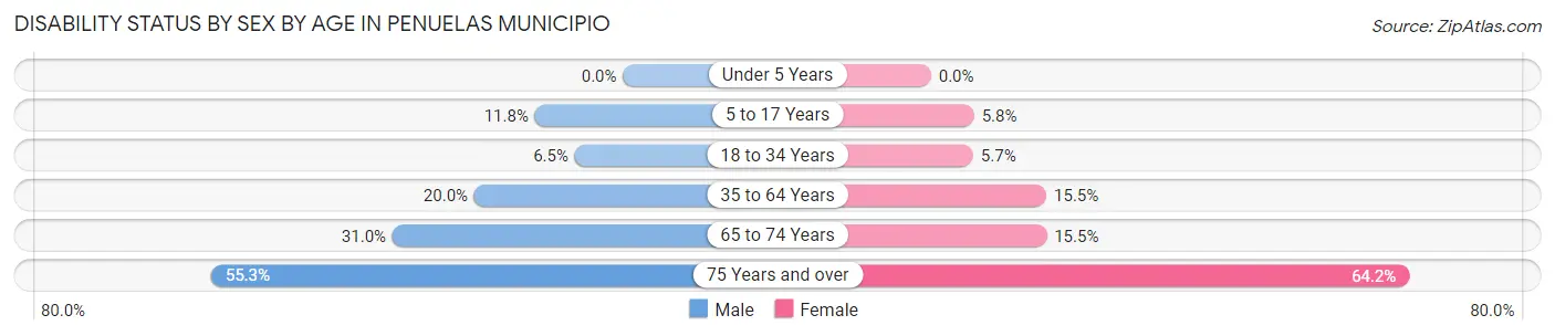 Disability Status by Sex by Age in Penuelas Municipio