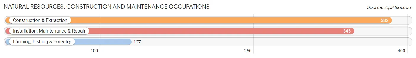 Natural Resources, Construction and Maintenance Occupations in Penuelas Municipio