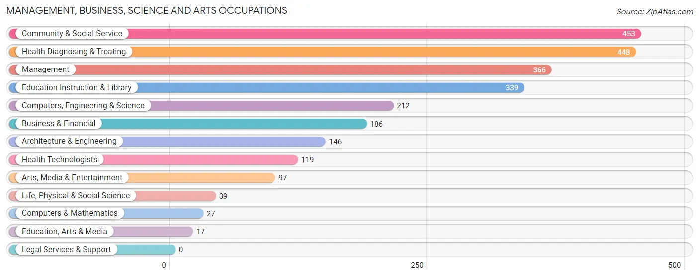 Management, Business, Science and Arts Occupations in Rincon Municipio