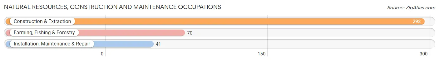 Natural Resources, Construction and Maintenance Occupations in Rincon Municipio