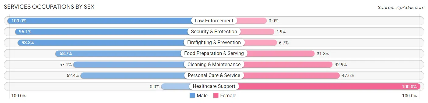 Services Occupations by Sex in Rincon Municipio