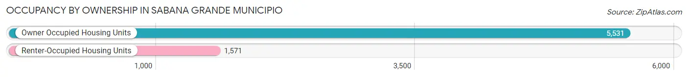 Occupancy by Ownership in Sabana Grande Municipio