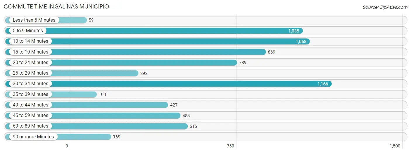 Commute Time in Salinas Municipio