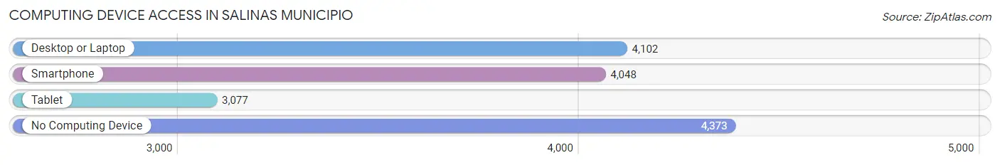 Computing Device Access in Salinas Municipio