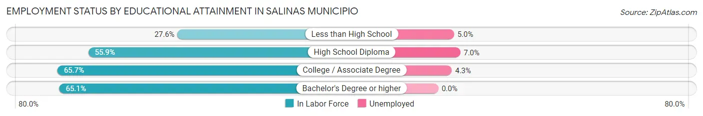 Employment Status by Educational Attainment in Salinas Municipio