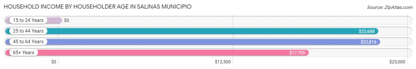 Household Income by Householder Age in Salinas Municipio