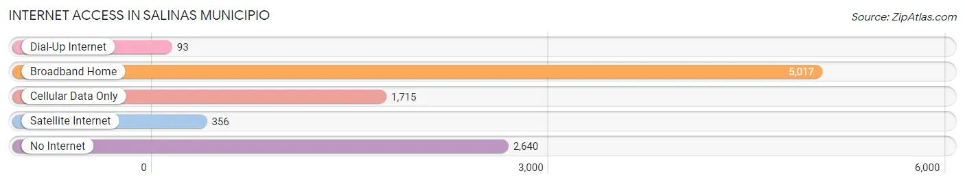 Internet Access in Salinas Municipio