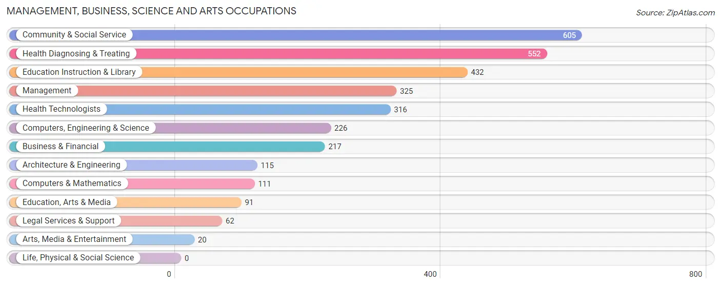 Management, Business, Science and Arts Occupations in Salinas Municipio