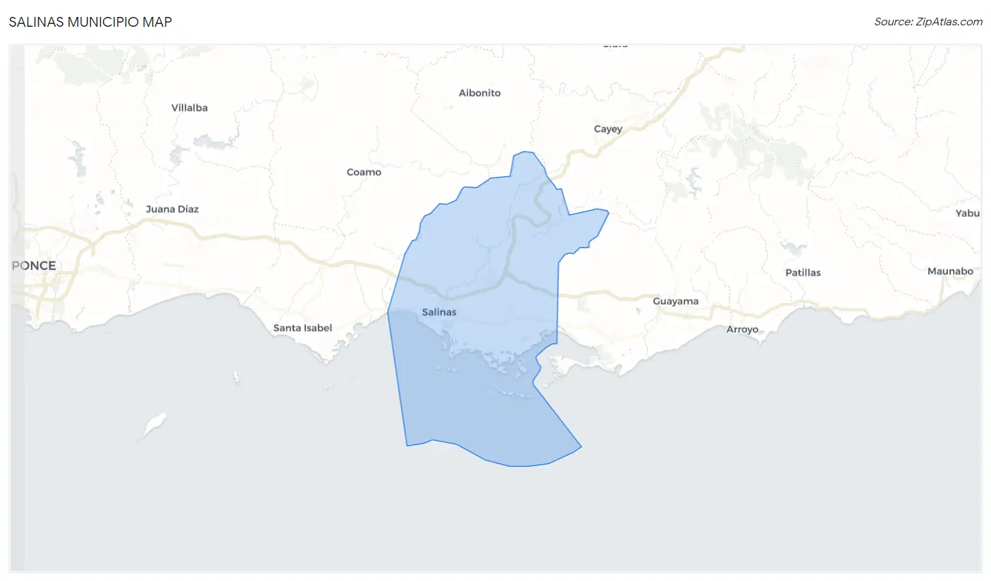 Salinas Municipio Map