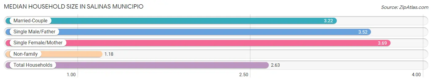 Median Household Size in Salinas Municipio