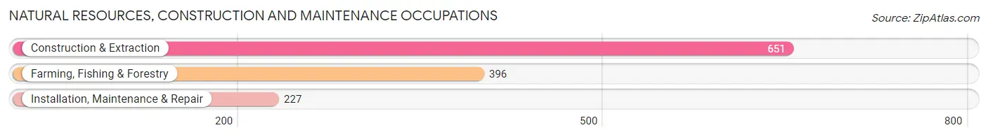 Natural Resources, Construction and Maintenance Occupations in Salinas Municipio