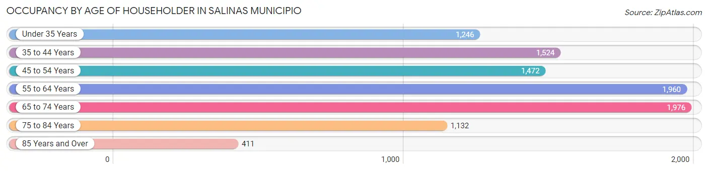 Occupancy by Age of Householder in Salinas Municipio