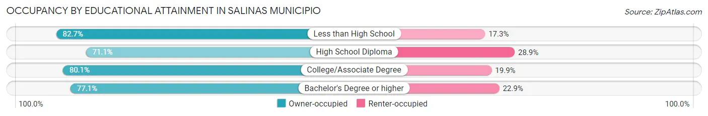 Occupancy by Educational Attainment in Salinas Municipio